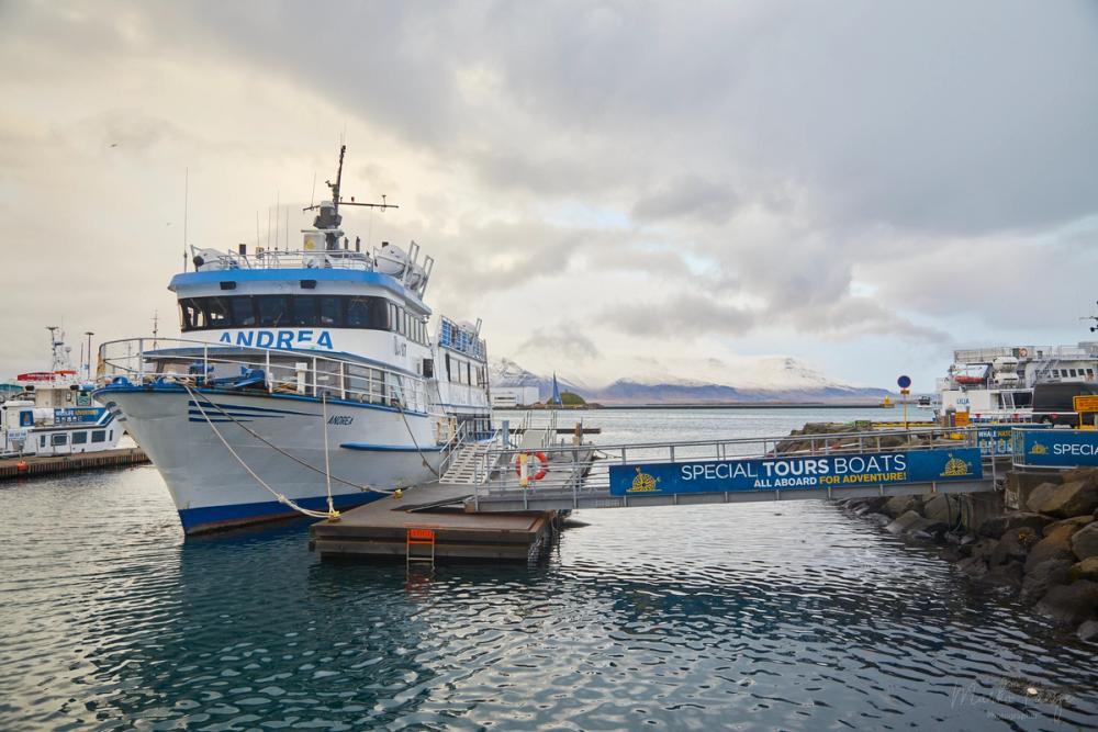 Das Ausflugsboot Andrea von Special Tours liegt am Steg, dahinter schneebedeckte Berge; Schild „Special Tours Boats“.