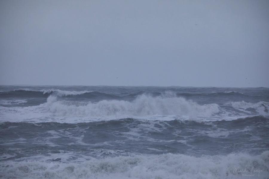 Felsnadeln von Reynisfjara