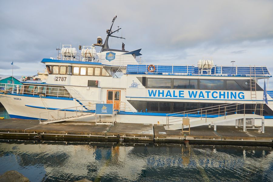 „Whale Watching“ – die Andrea am Kai