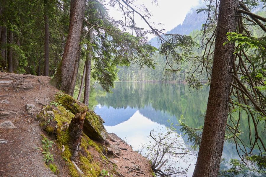 Uferweg am Piburger See