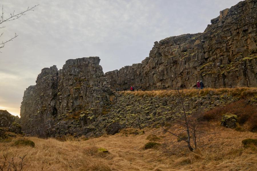 Moosbedeckte Lava in Þingvellir