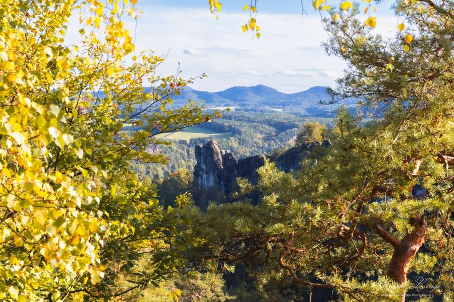 Herbstlicher Durchblick auf die Felsnadeln der Bastei