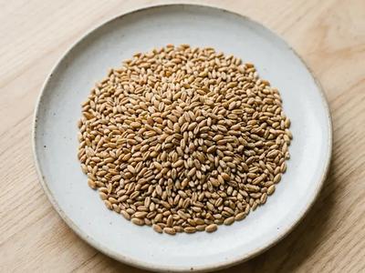 Einkorn