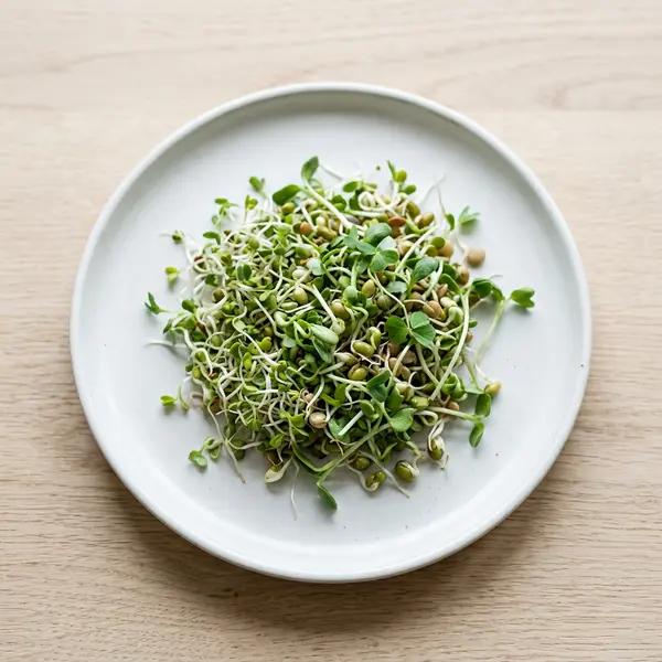 Sprouted Seeds