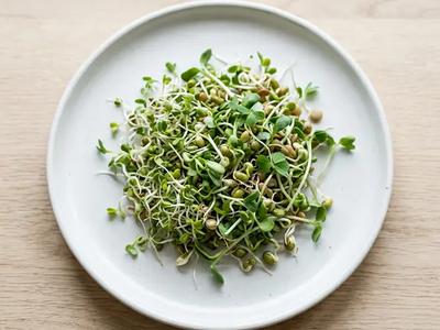 Sprouted Seeds