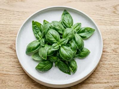 Basil