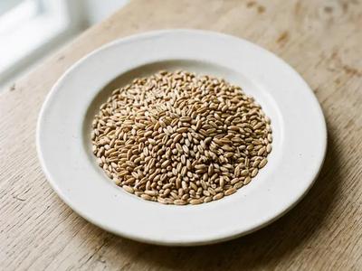 Triticale
