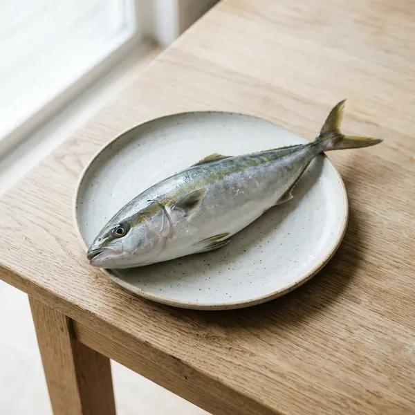 Yellowtail
