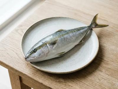 Yellowtail