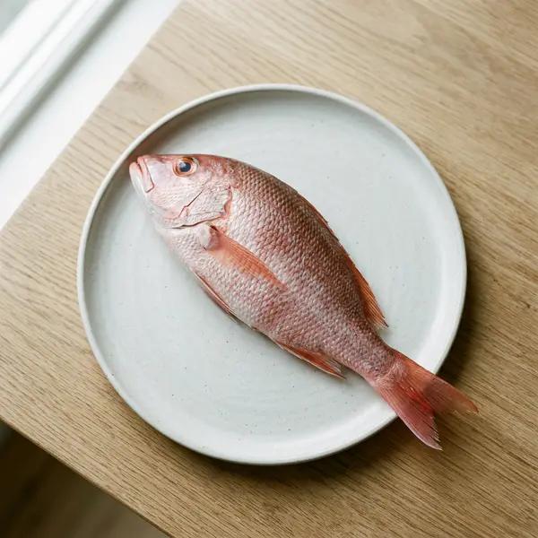 Snapper