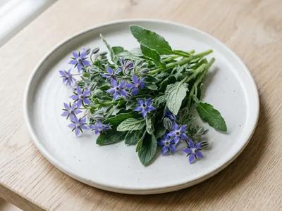 Borage