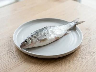 Dace