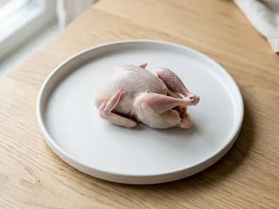 Quail