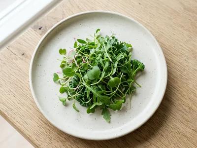 Microgreens