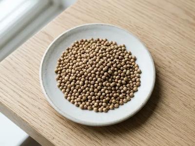 Coriander Seeds