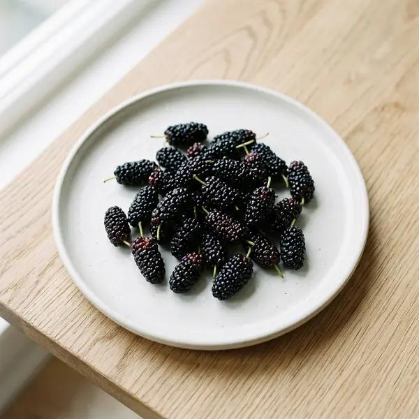 Mulberry