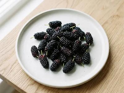 Mulberry