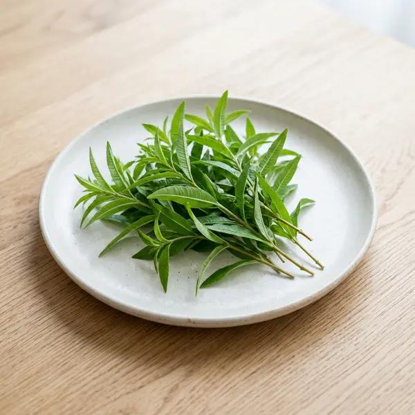 Lemon Verbena