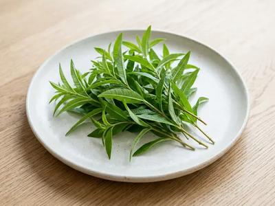 Lemon Verbena