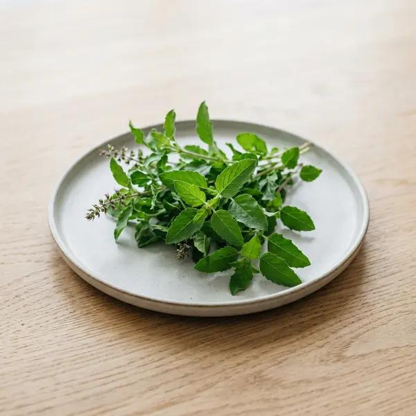 Tulsi (Holy Basil)