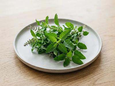 Tulsi (Holy Basil)