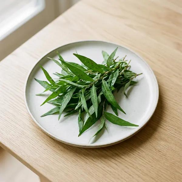 Vietnamese Coriander (Rau Ram)