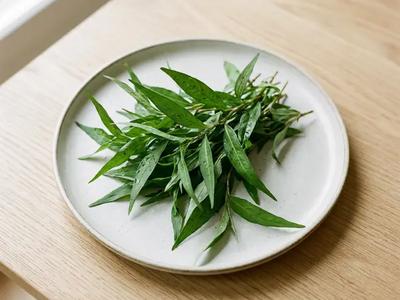 Vietnamese Coriander (Rau Ram)