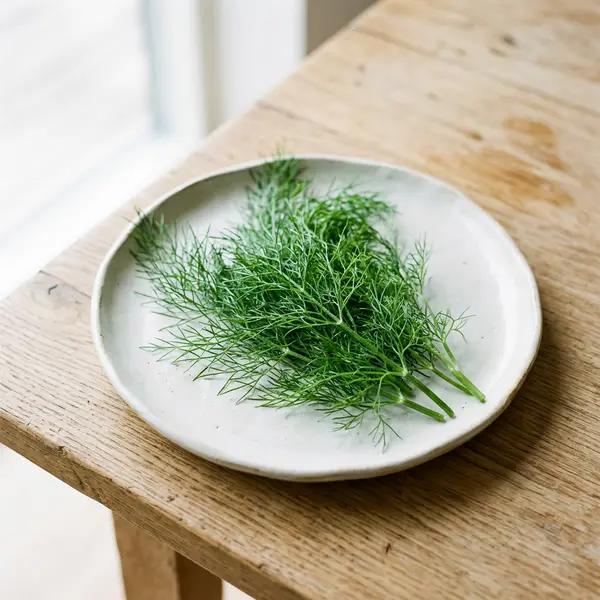 Fennel fronds
