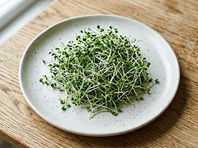 Alfalfa Sprouts