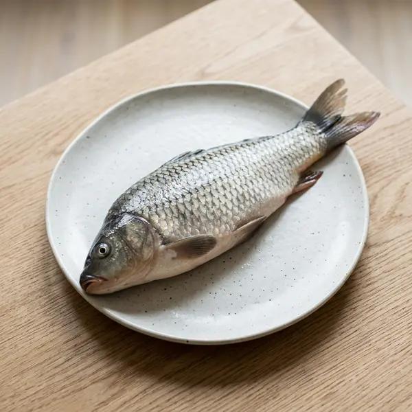 Carp
