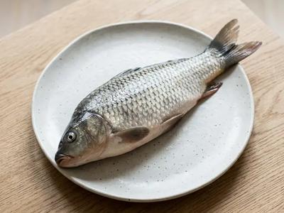 Carp