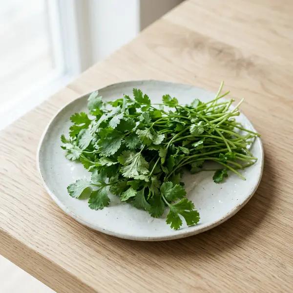 Cilantro (Coriander Leaves)