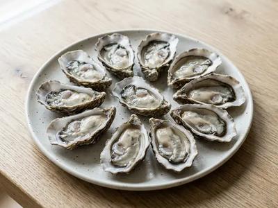 Oysters