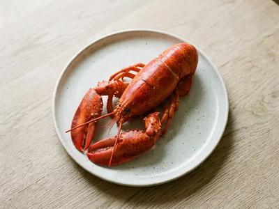Lobster