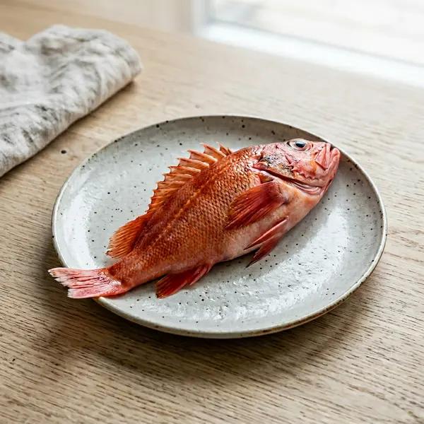 Rockfish