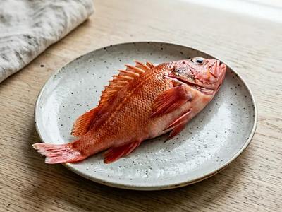 Rockfish