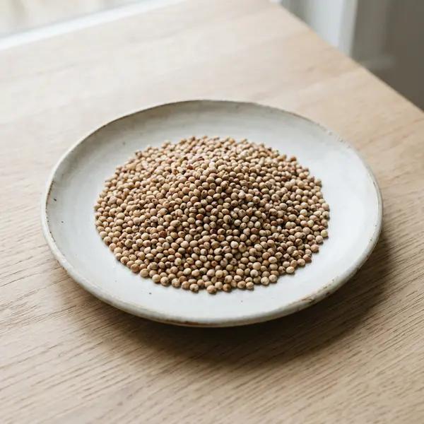 Sorghum