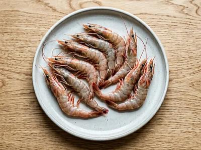 Shrimp