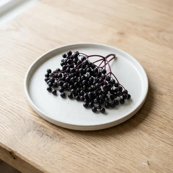 Elderberry