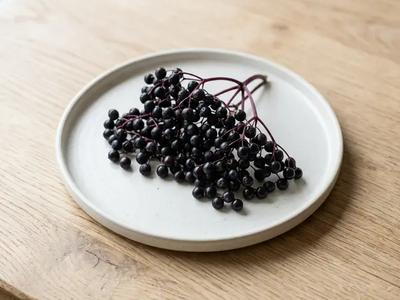 Elderberry