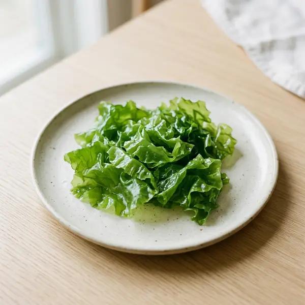 Sea Lettuce
