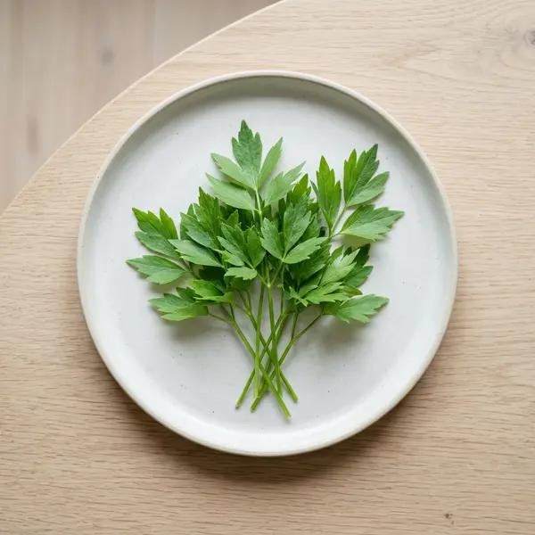 Lovage