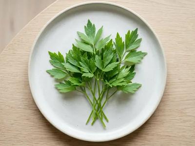 Lovage