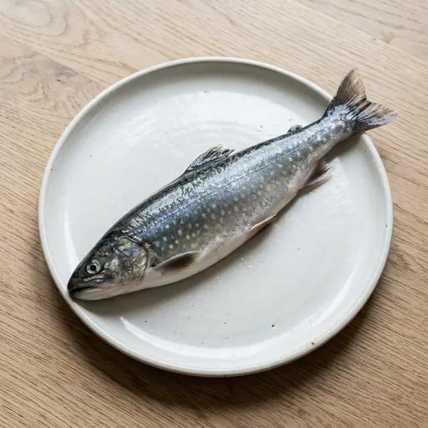 Char (Arctic char)