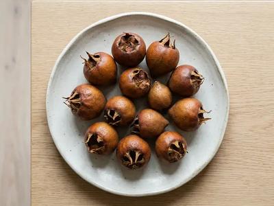 Medlar