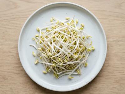 Bean Sprouts (Mung Bean)