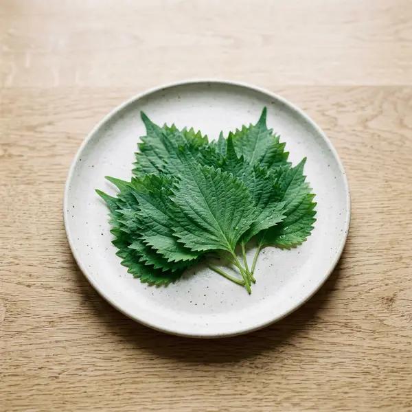 Shiso (Perilla)