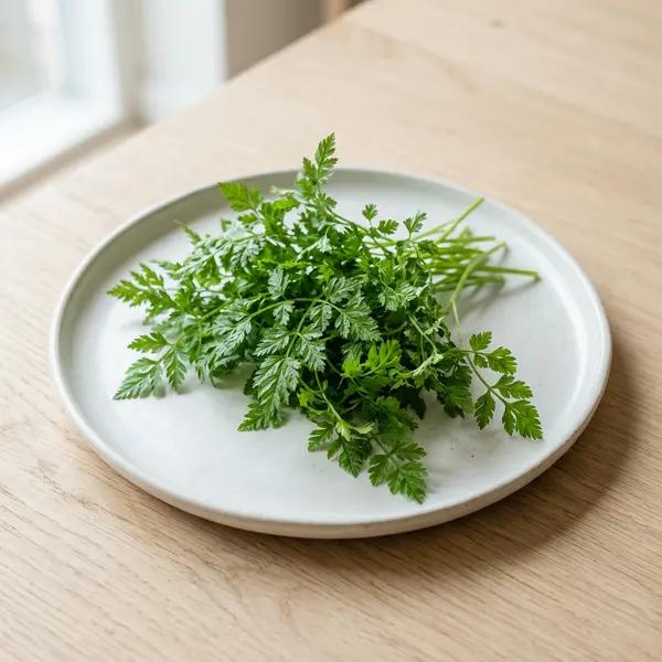 Chervil
