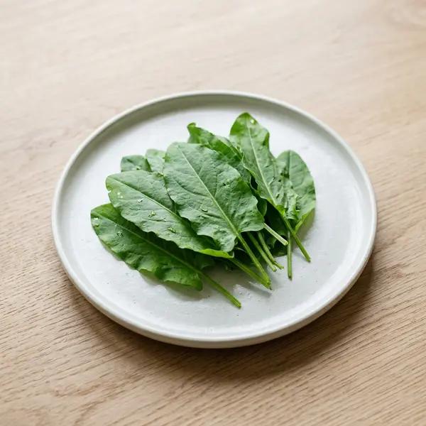 Sorrel