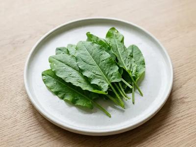 Sorrel